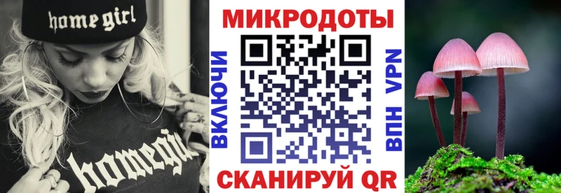 Псилоцибиновые грибы Psilocybe  Лермонтов 